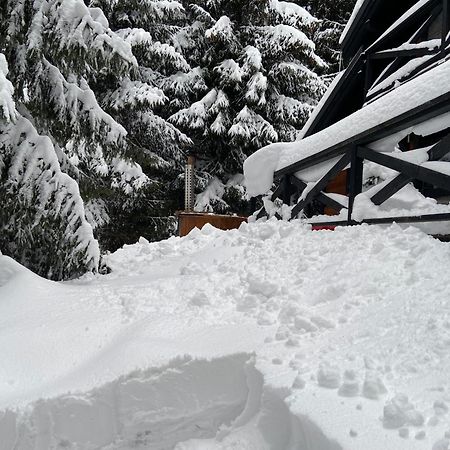 Chalet Rackova Dolina Pribylina Dış mekan fotoğraf