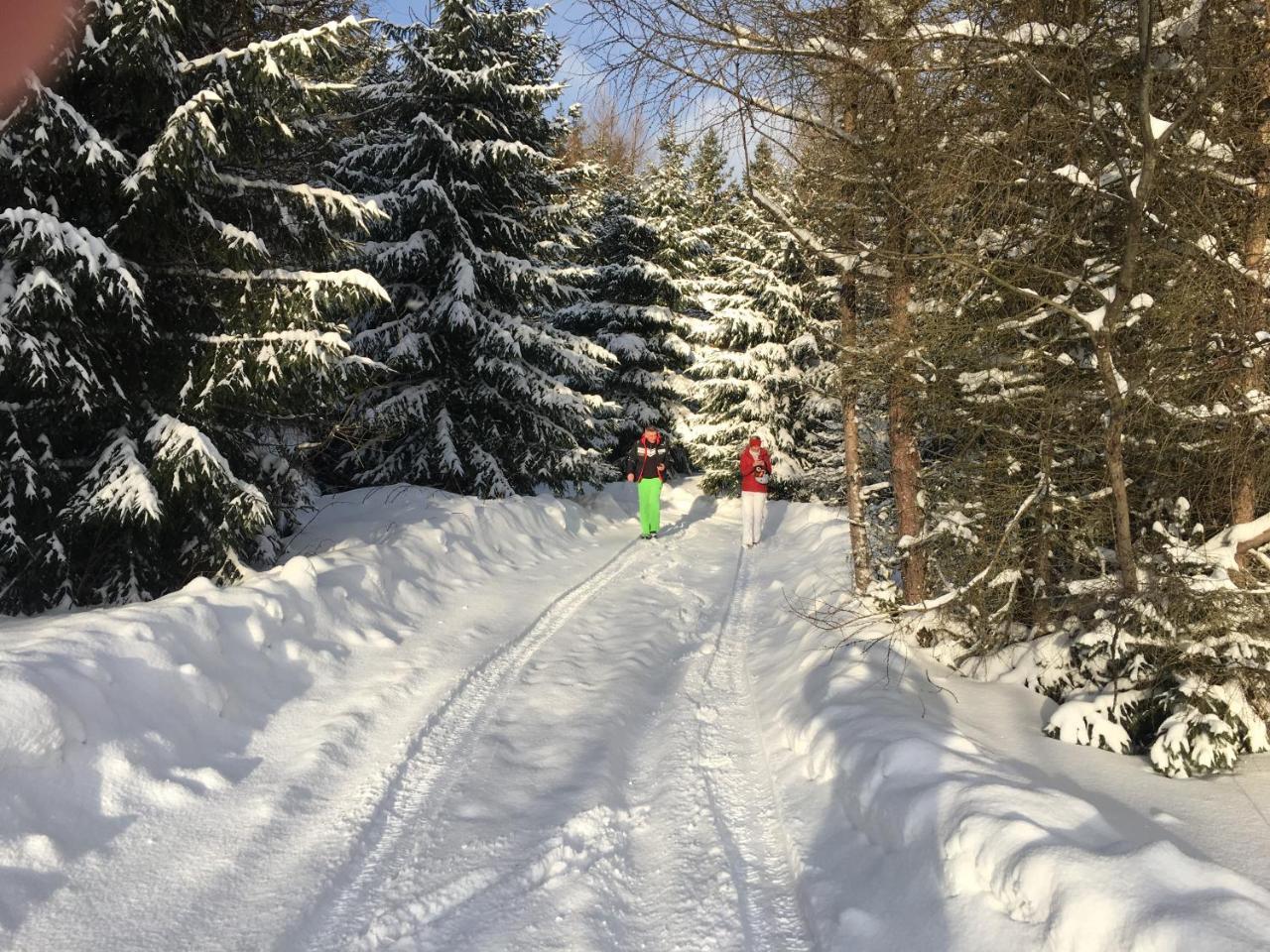 Chalet Rackova Dolina Pribylina Dış mekan fotoğraf