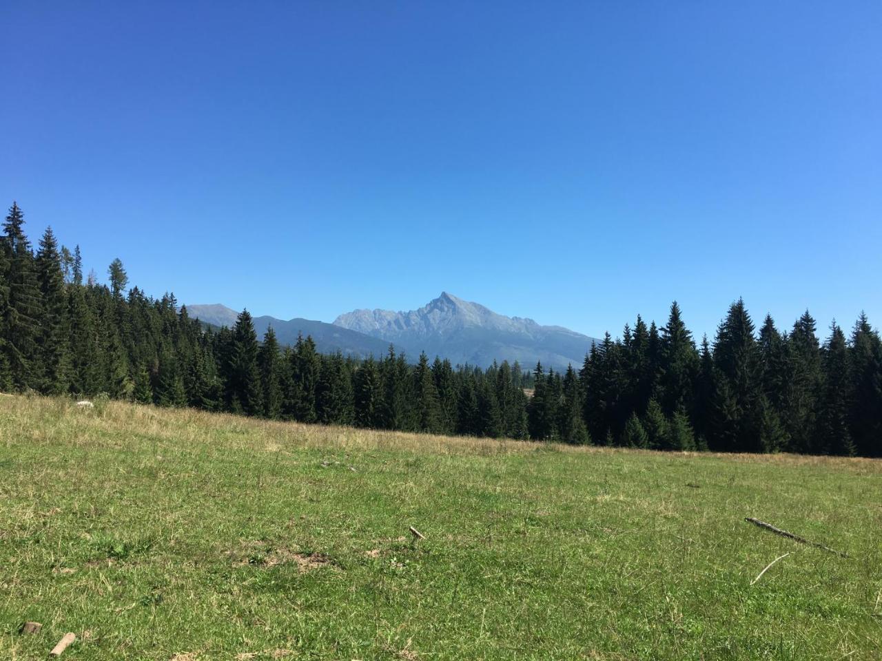 Chalet Rackova Dolina Pribylina Dış mekan fotoğraf
