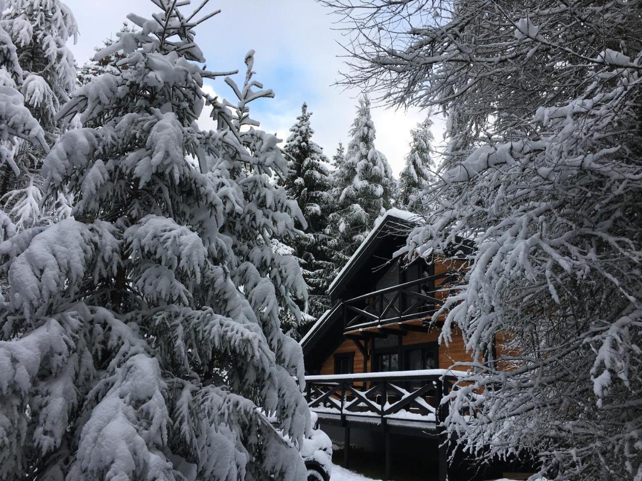 Chalet Rackova Dolina Pribylina Dış mekan fotoğraf