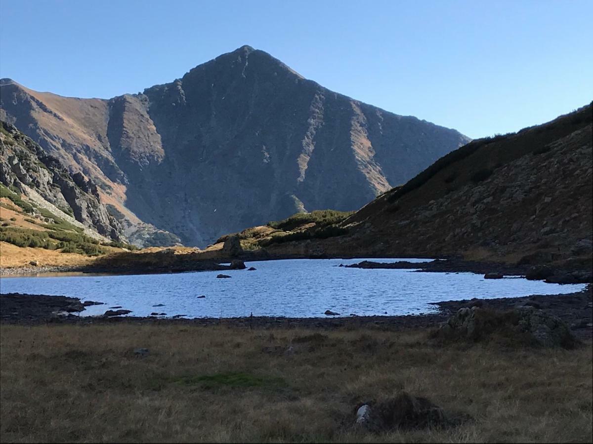 Chalet Rackova Dolina Pribylina Dış mekan fotoğraf
